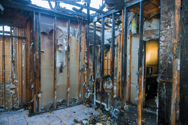 Professional Fire Damage Assessment technician working in Nederland, CO